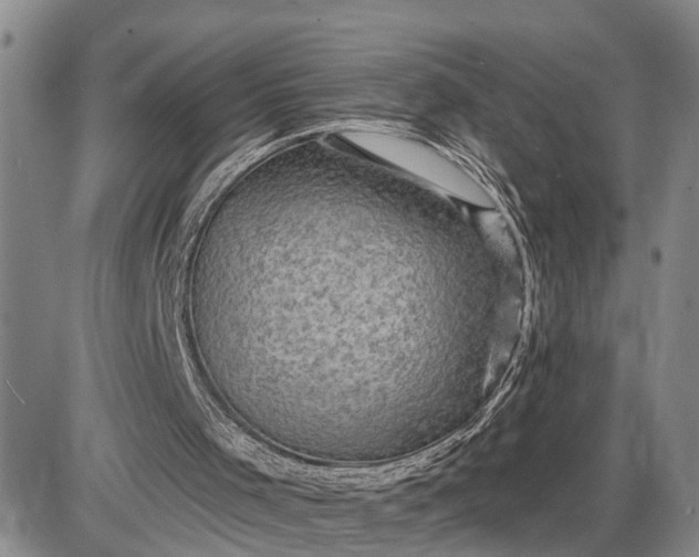 X0000085260001200703231727