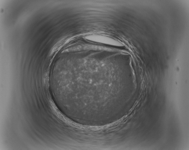 X0000085260002200703231727