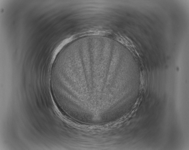 X0000085260003200703231727