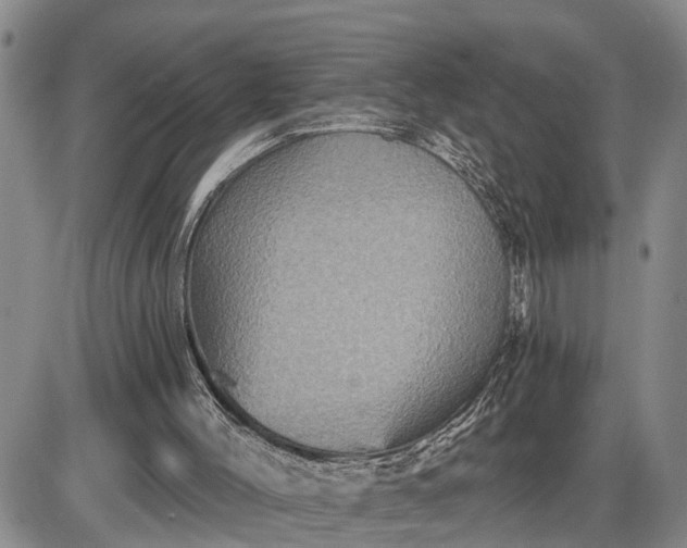 X0000085260004200703231727