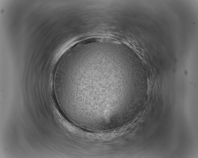 X0000085260005200703231727