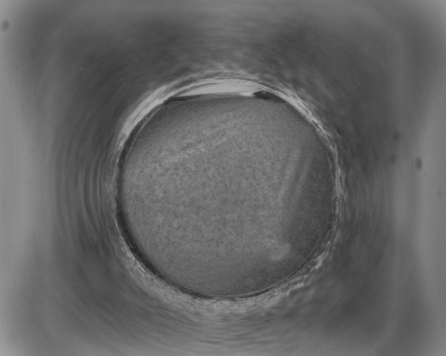 X0000085260007200703231727