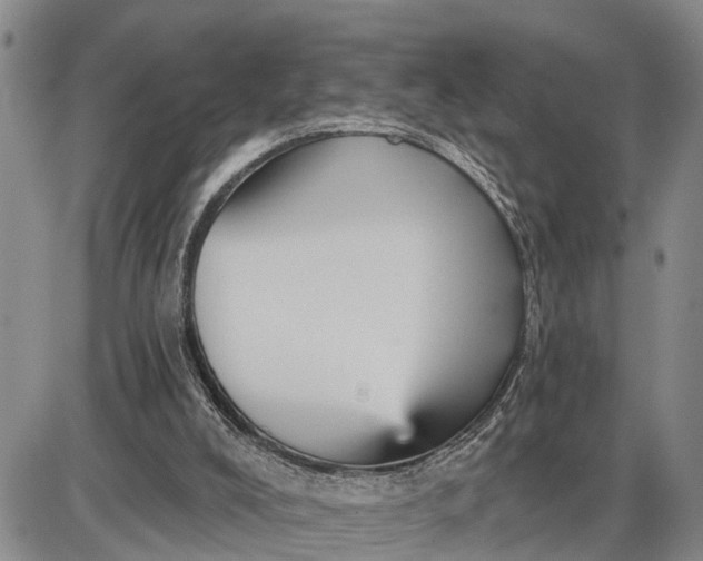 X0000085260008200703231727