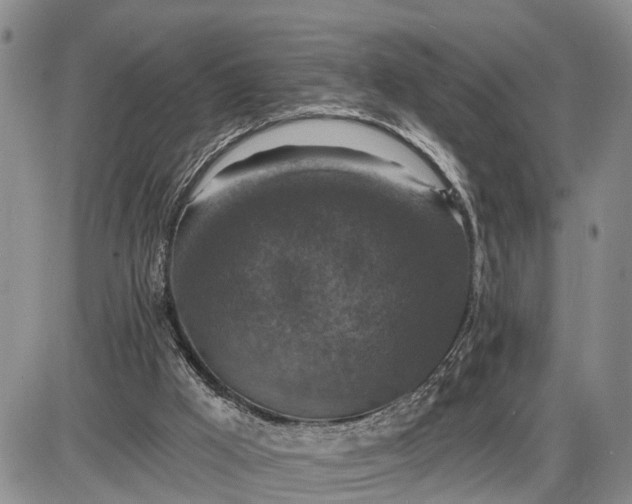 X0000085260009200703231727