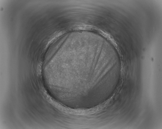 X0000085260010200703231727