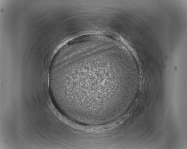 X0000085260011200703231727