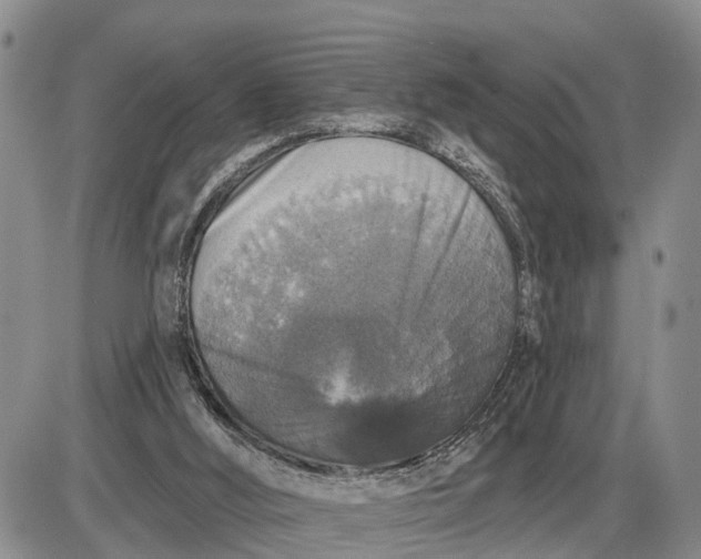 X0000085260012200703231727