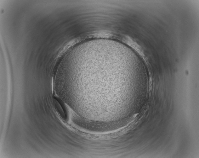 X0000085260013200703231727