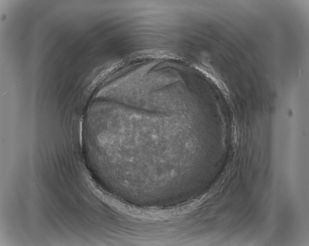 X0000085260014200703231727