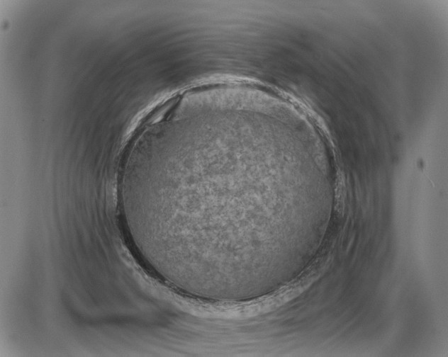 X0000085260015200703231727