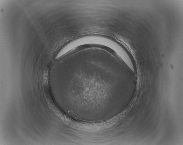 X0000085260017200703231727