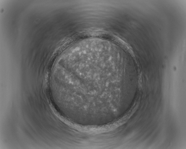 X0000085260018200703231727