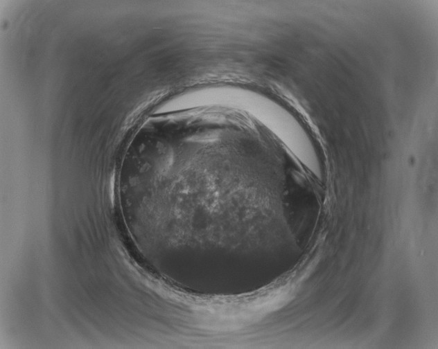 X0000085260019200703231727