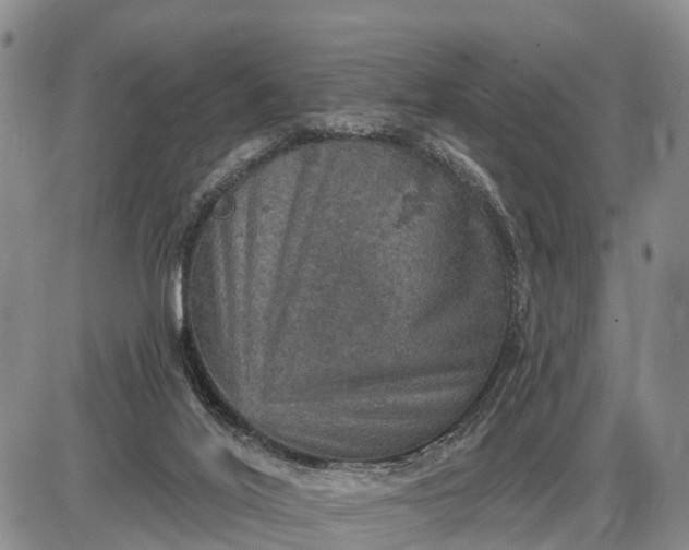 X0000085260020200703231727