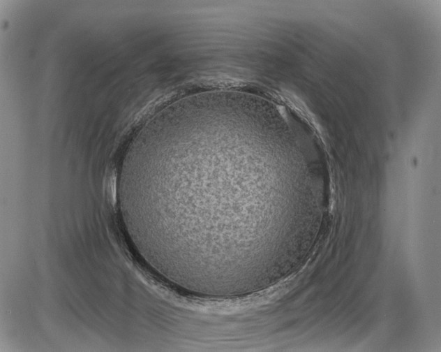 X0000085260021200703231727