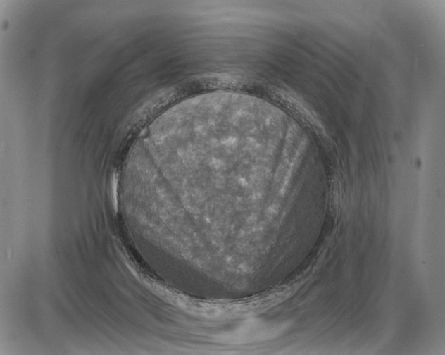 X0000085260022200703231727