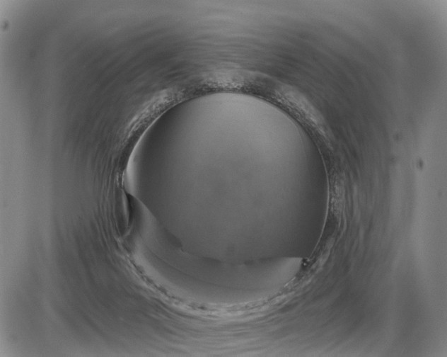 X0000085260023200703231727