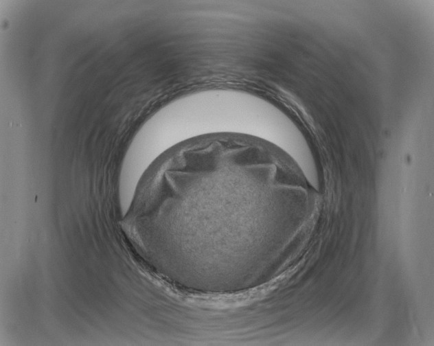 X0000085260025200703231727