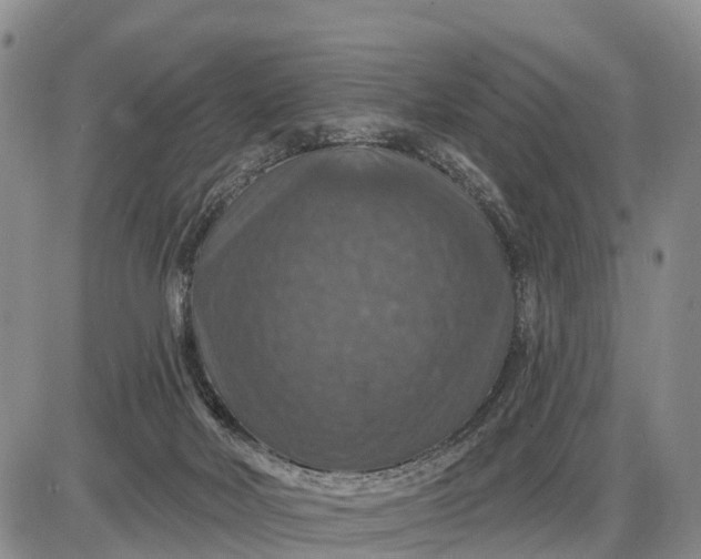 X0000085260026200703231727