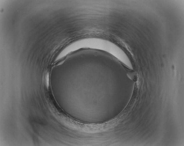 X0000085260027200703231727