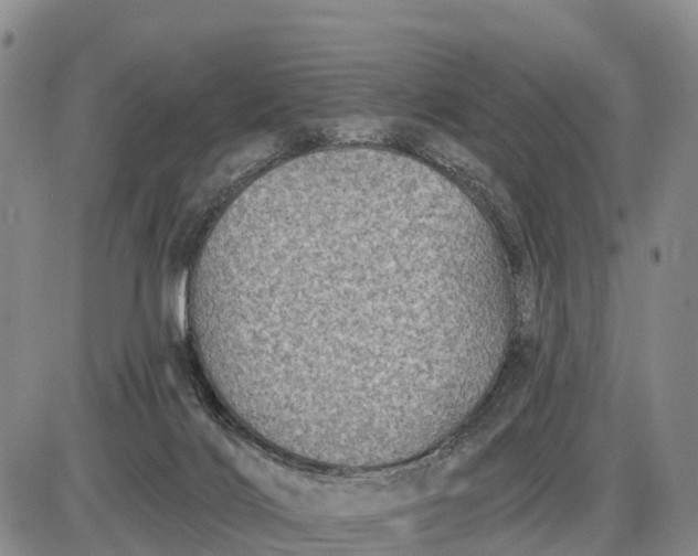 X0000085260028200703231727