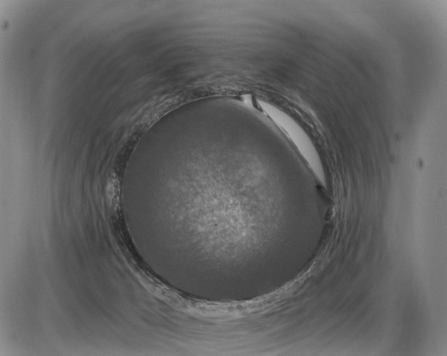 X0000085260029200703231727