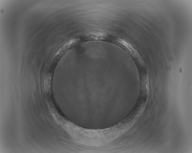 X0000085260030200703231727