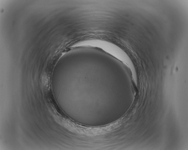 X0000085260031200703231727