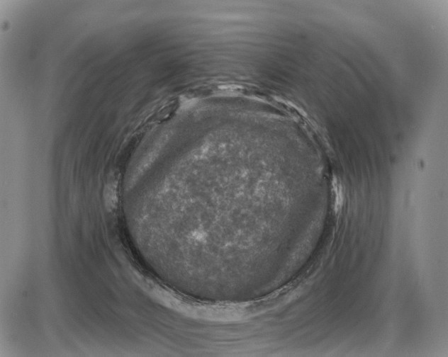 X0000085260032200703231727