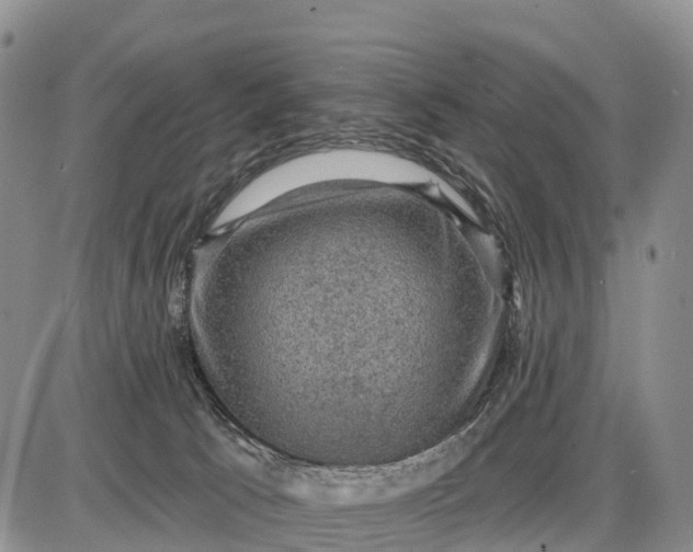 X0000085260033200703231727