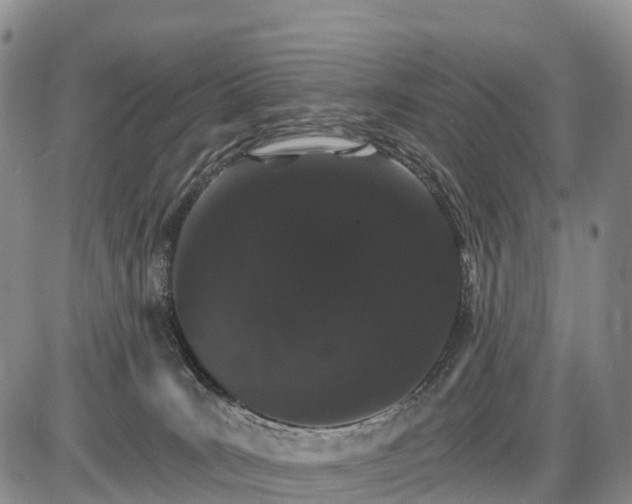 X0000085260035200703231727