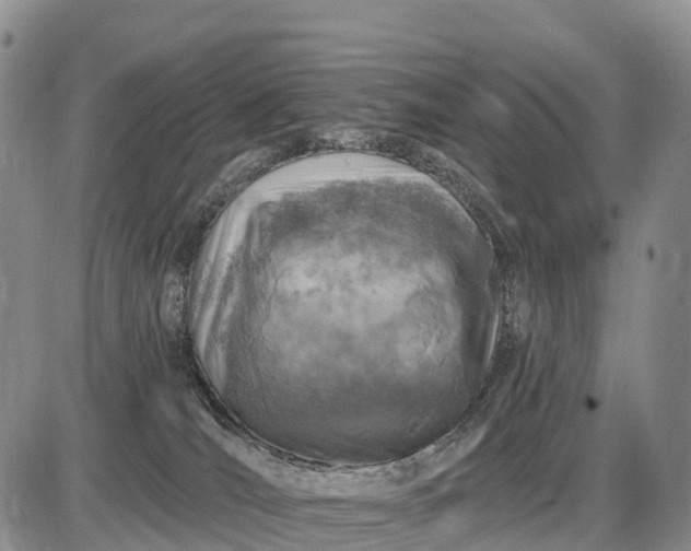 X0000085260036200703231727