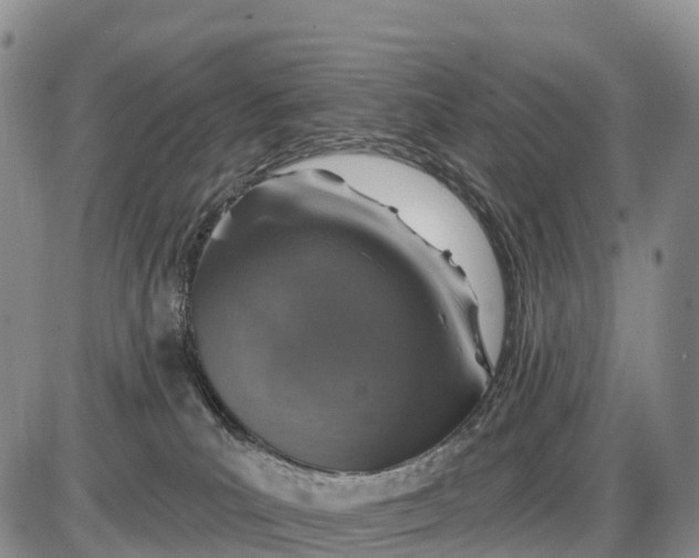 X0000085260039200703231726