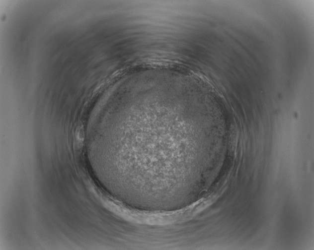 X0000085260040200703231726