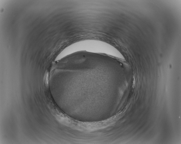 X0000085260041200703231726