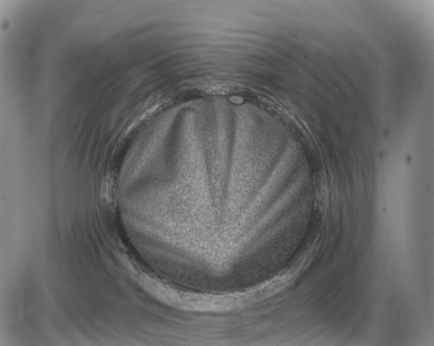 X0000085260044200703231726