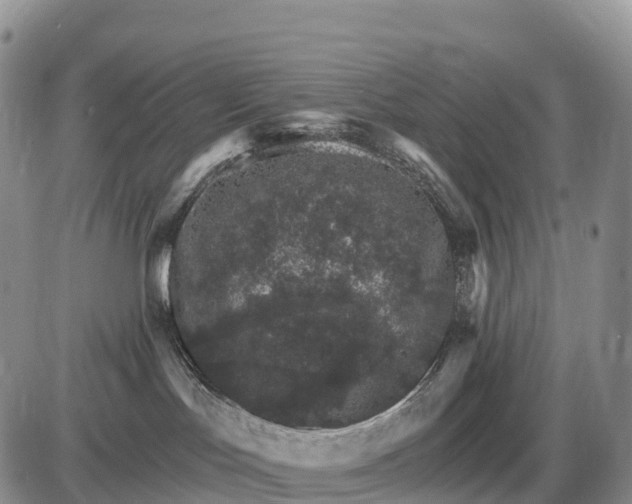 X0000085260047200703231726