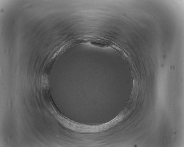 X0000085260048200703231726