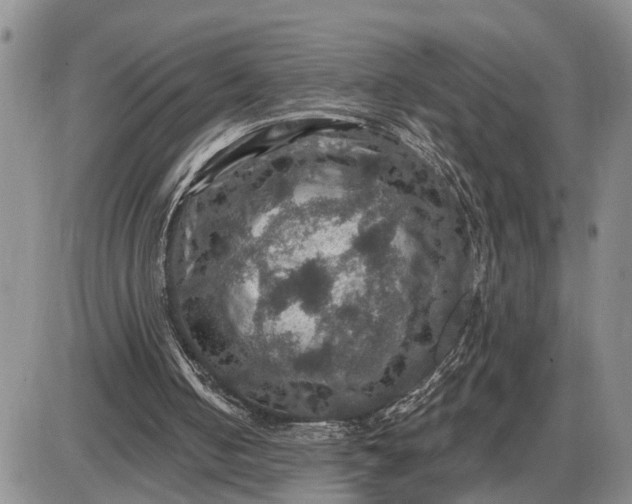 X0000085260050200703231726