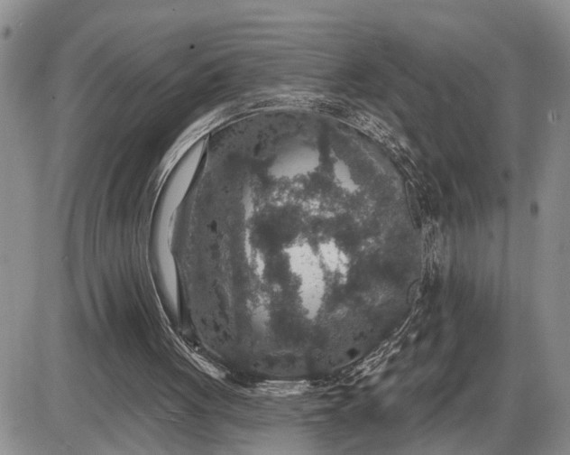 X0000085260051200703231726