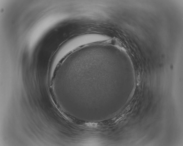 X0000085260052200703231726