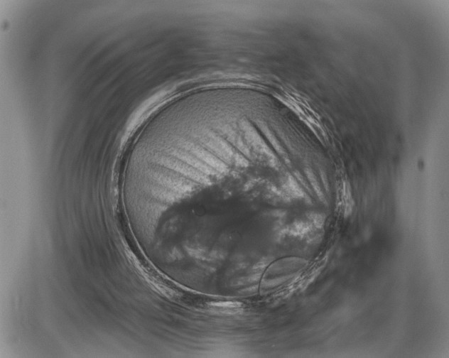 X0000085260053200703231726