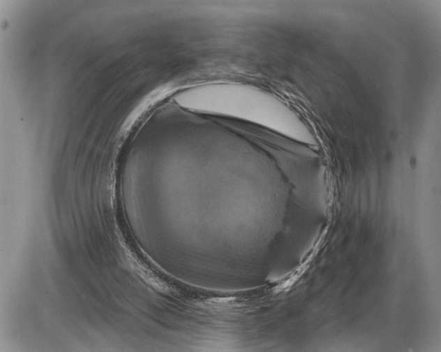 X0000085260054200703231726