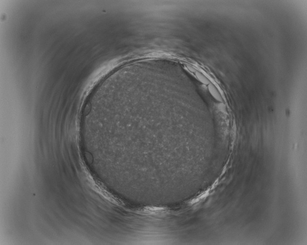 X0000085260055200703231726