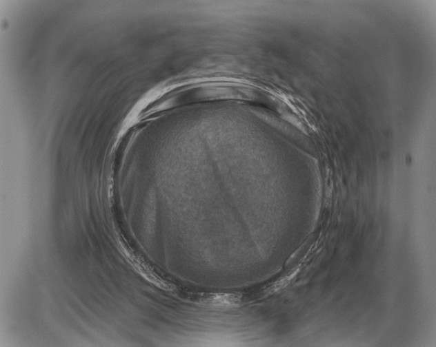 X0000085260056200703231726