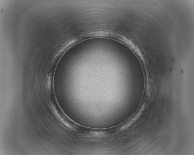 X0000085260057200703231726