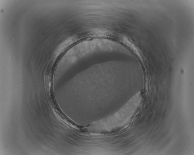 X0000085260059200703231726