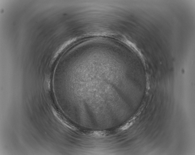 X0000085260060200703231726