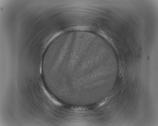 X0000085260062200703231726