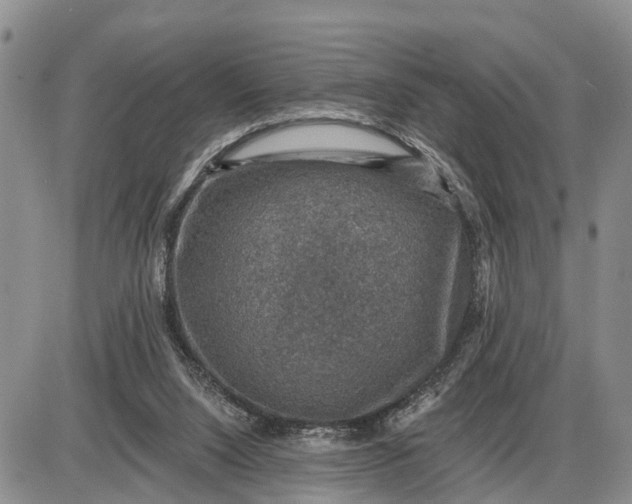 X0000085260064200703231726